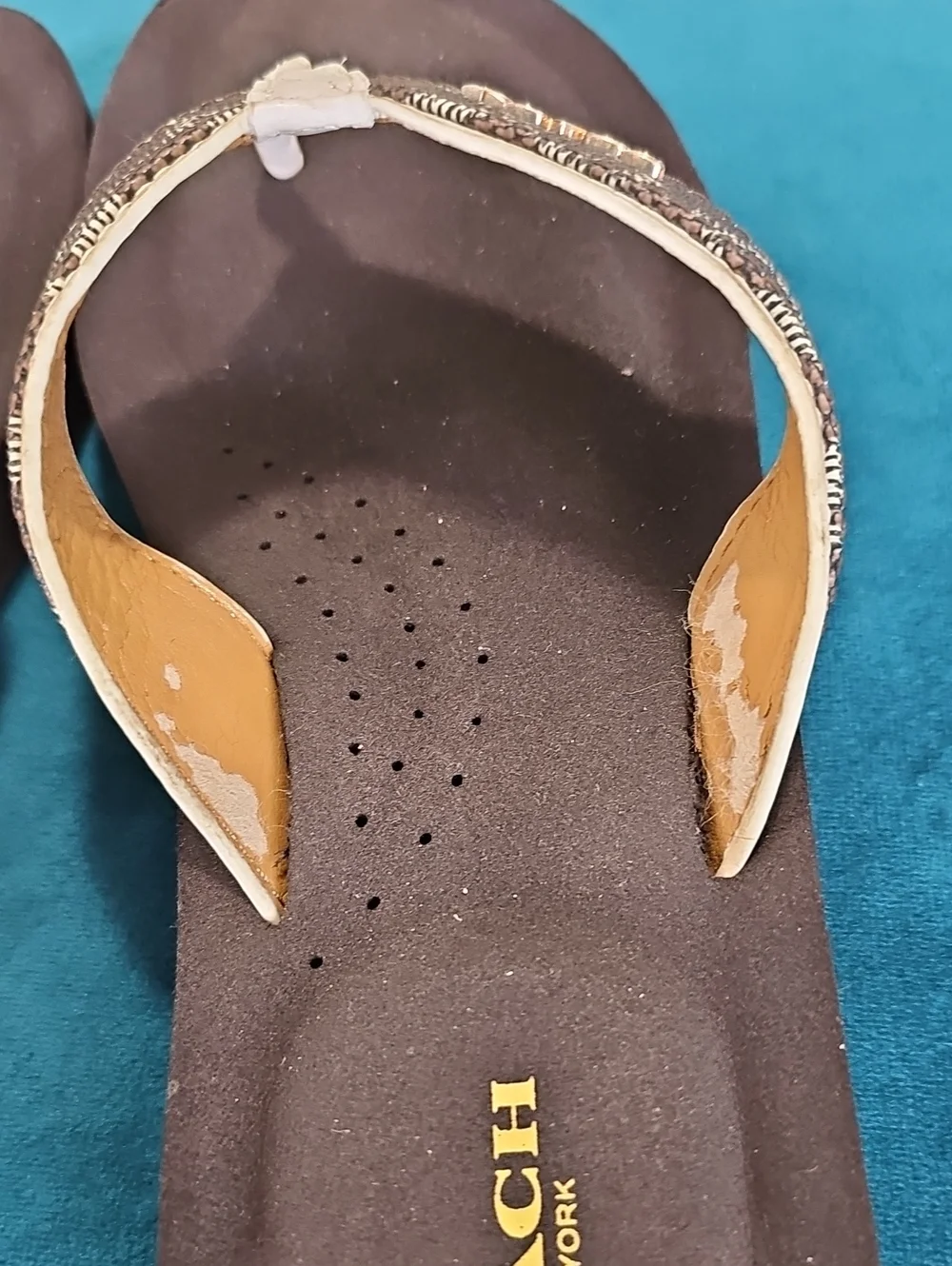 COACH Judy Flip-Flop Brown Signature Print Thong Sandals